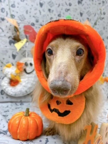 111111