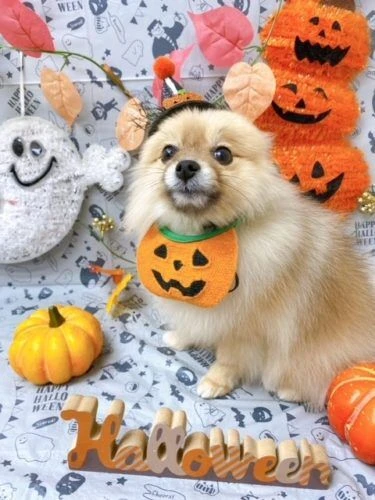 wwwwwwww