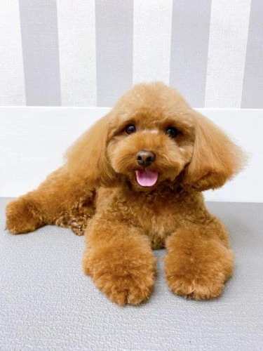 image0