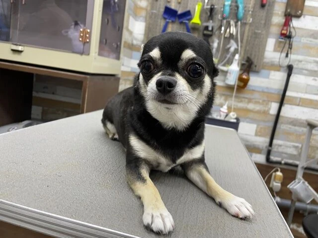 img_3648
