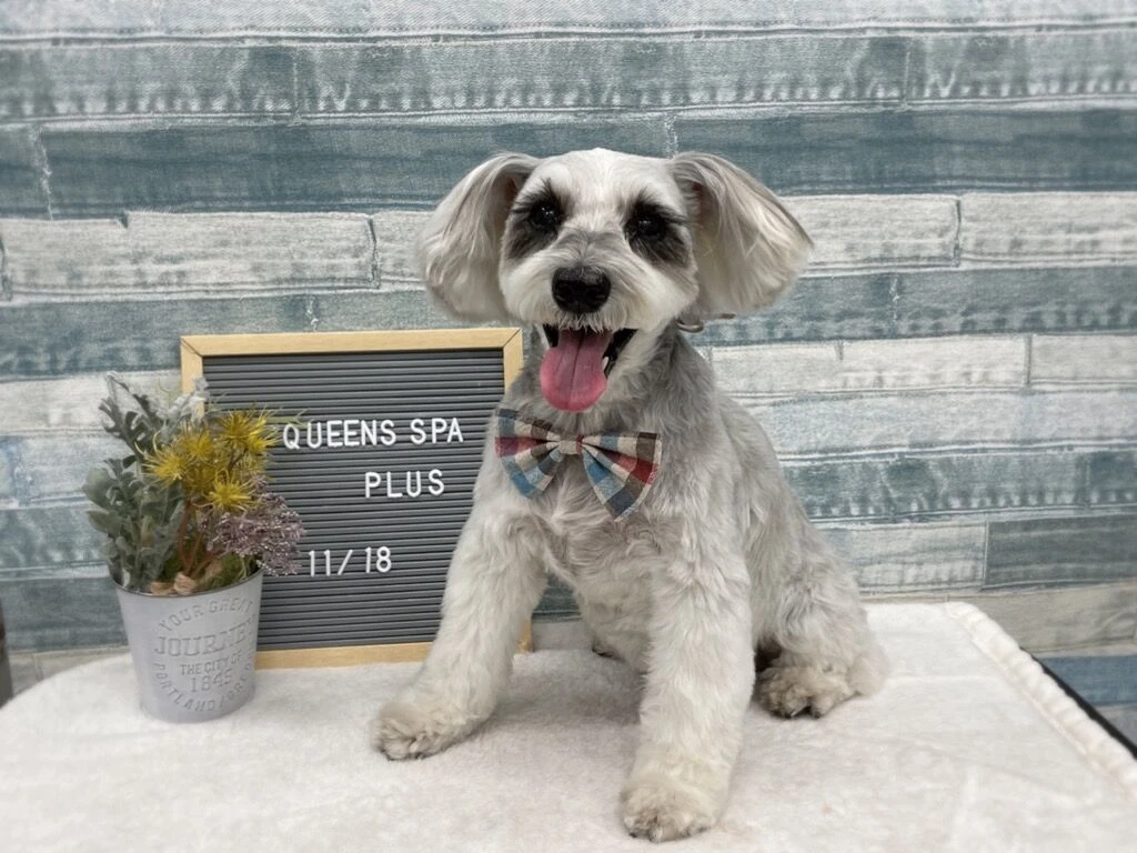 img_3555