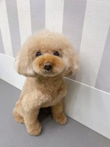 image0