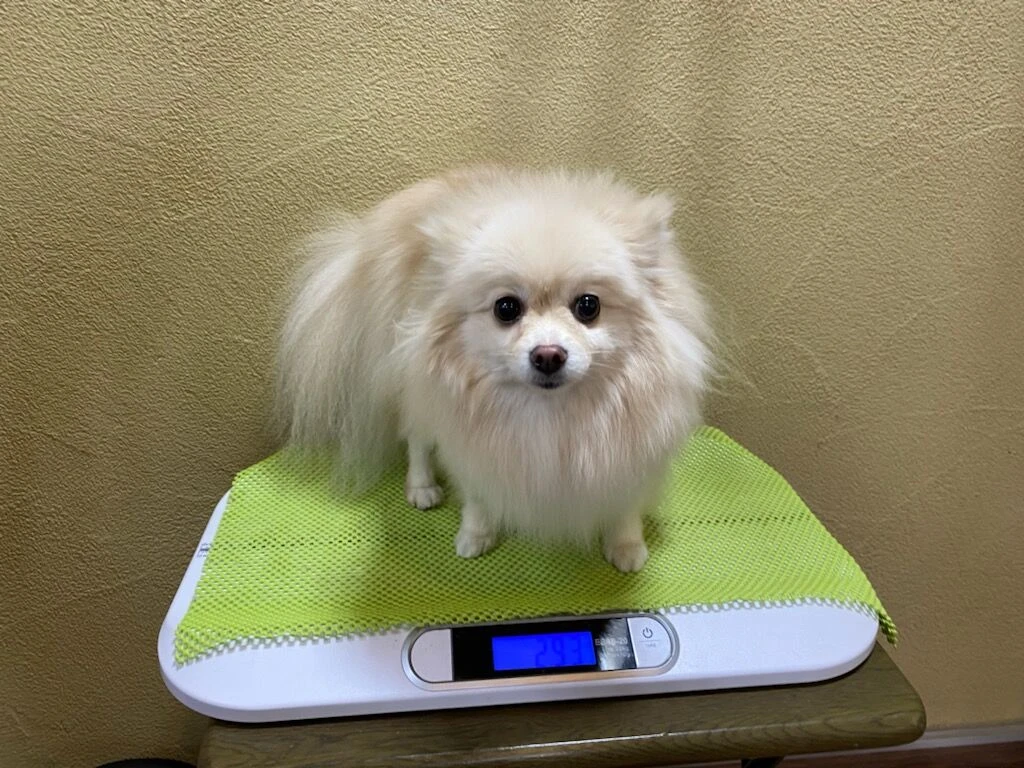 img_2046