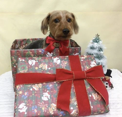 img_9961