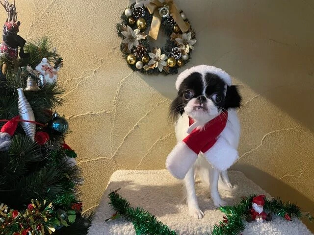 img_4913