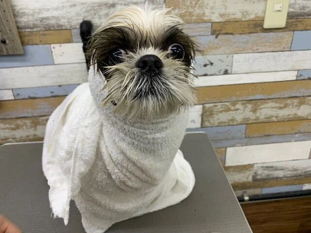 img_2015
