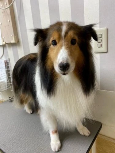f