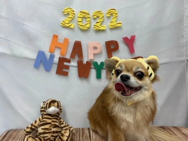image0