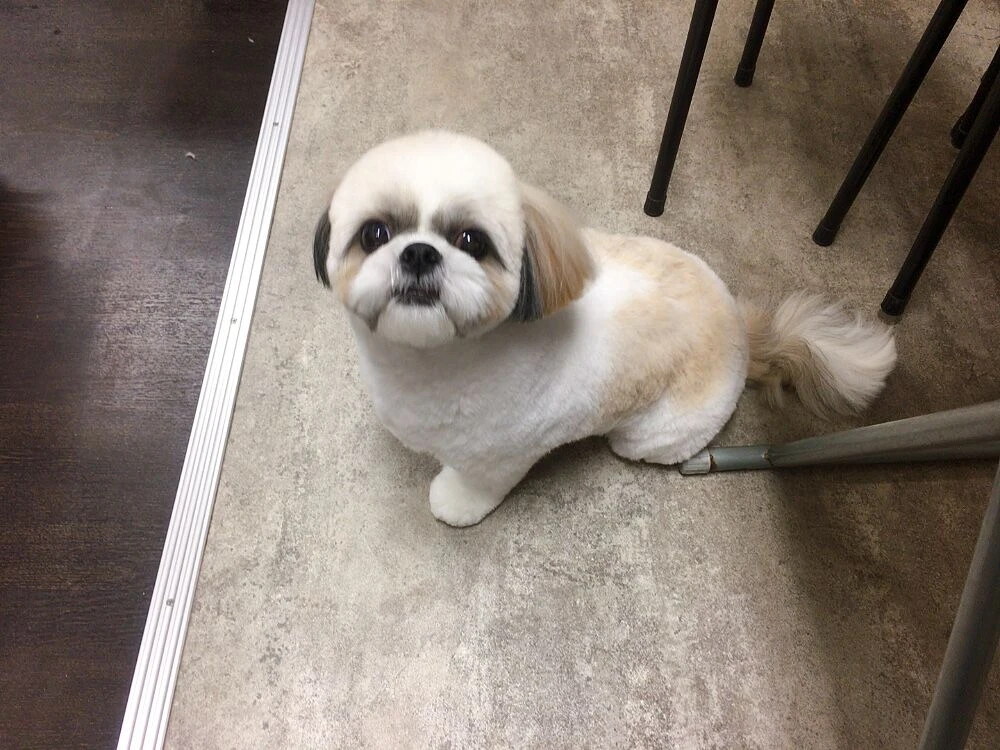 img_3759