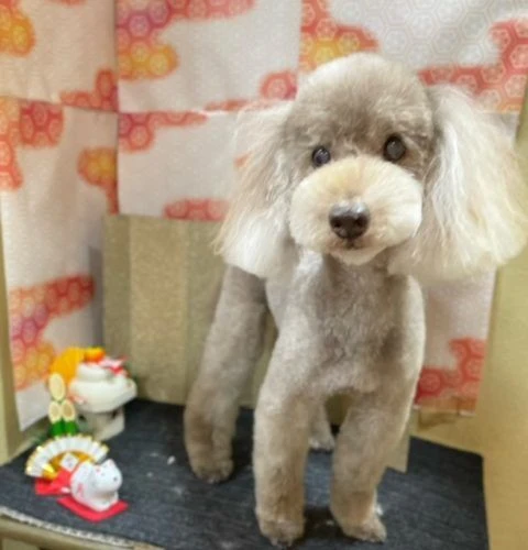 image0