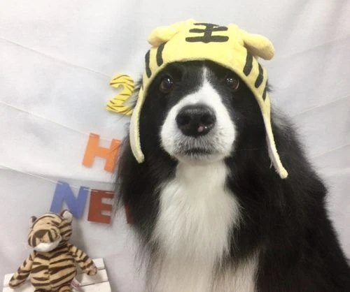img_4501