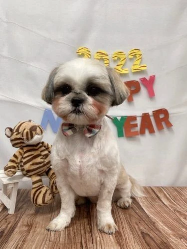 img_9725