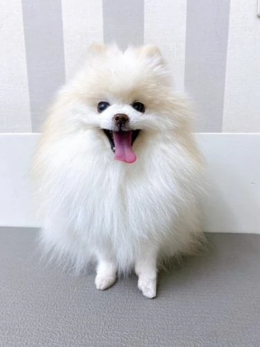 fff