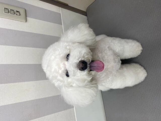 image2