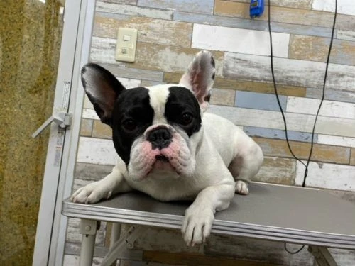 image0