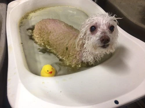 img_6538