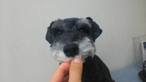 thumbnail_dsc_3338