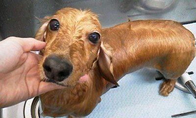 04200001