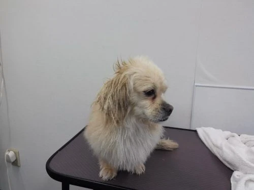 img00306