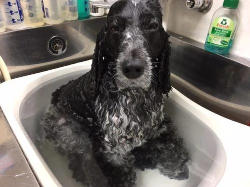 img_1475