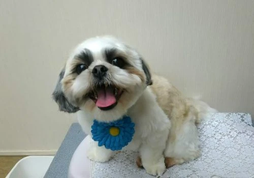 thumbnail_img_20170430_145911