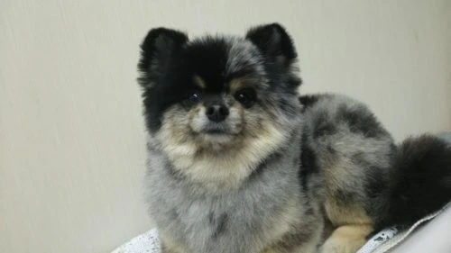 thumbnail_dsc_4329