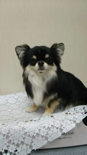 thumbnail_dsc_4344