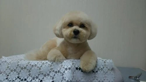 thumbnail_dsc_4301