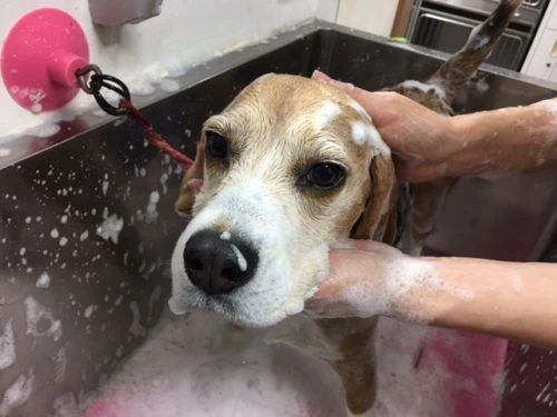 img_1778
