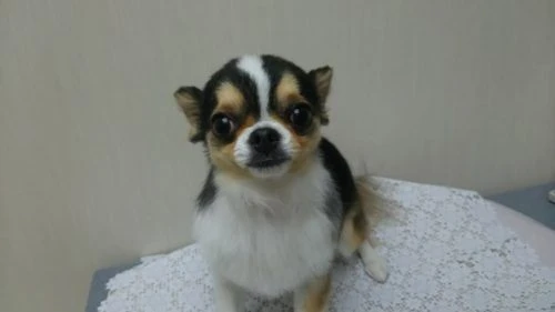 thumbnail_dsc_4442