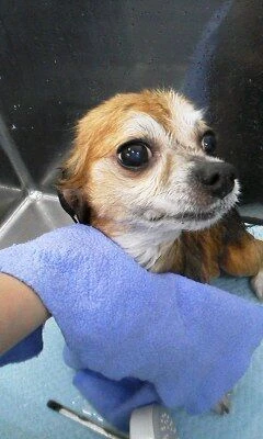 05240001