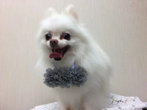thumbnail_img_7944