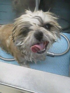 05290001