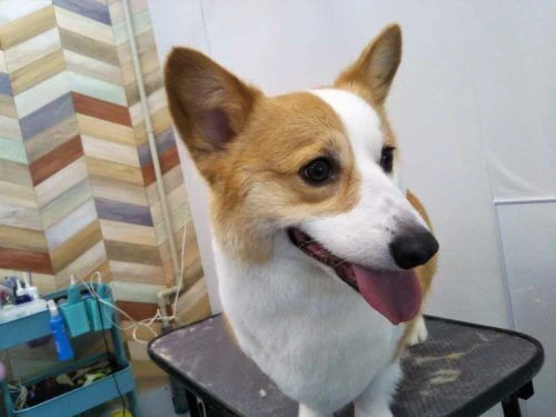 img_20170602_113133