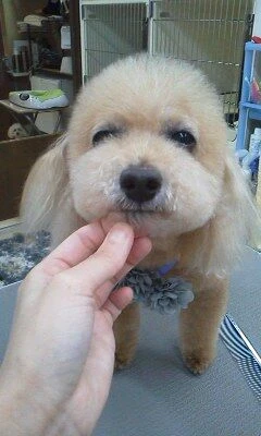06030001