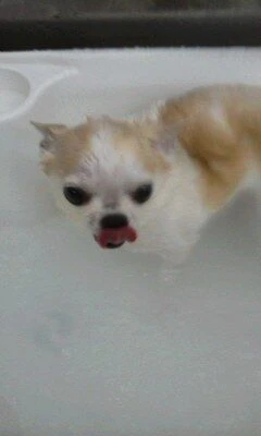 06080001