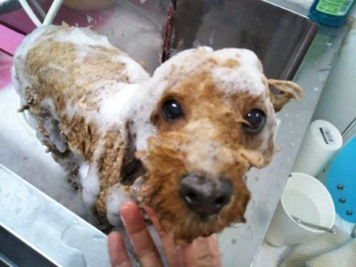 img_20170620_134238