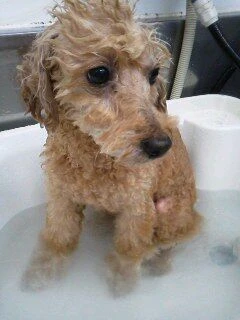 07090001