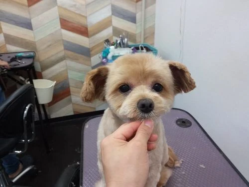 img01090