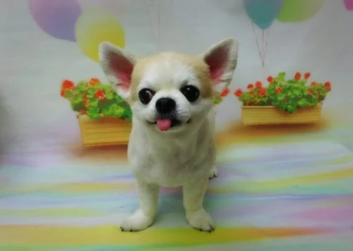 thumbnail_17-07-15-19-47-03-637_deco