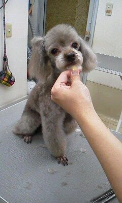 08170001
