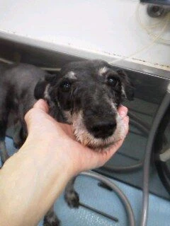 08260001