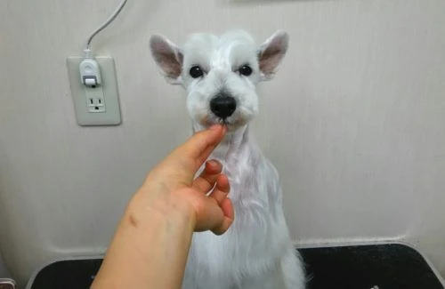 thumbnail_img_20170904_144208