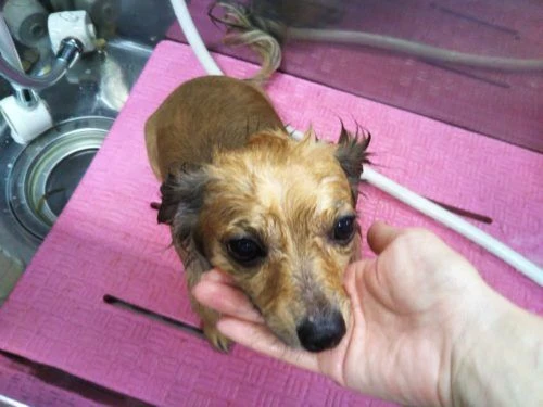 image000000