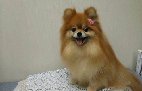 thumbnail_img_20170921_192759