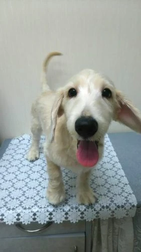 thumbnail_img_20170927_162426