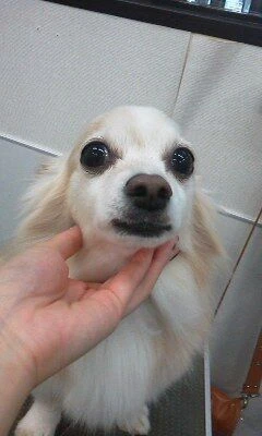 10030001
