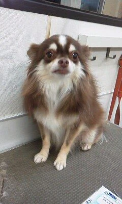 10050001