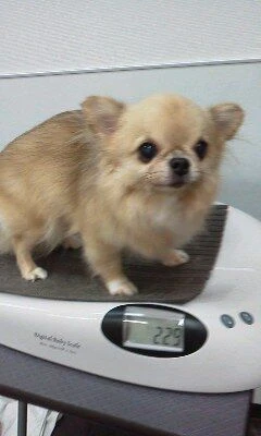 10070001