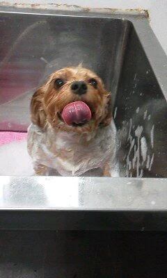 10070001